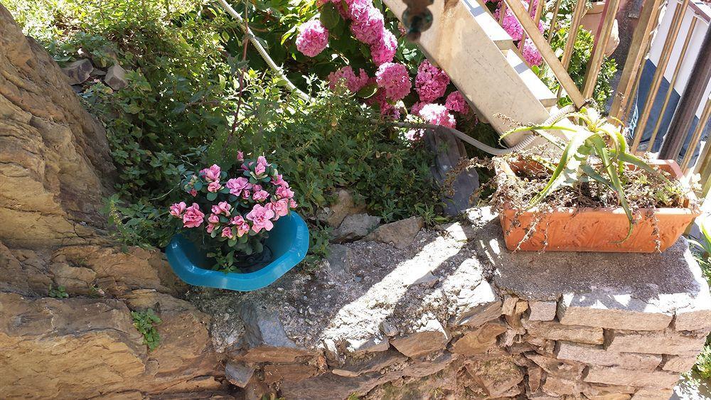 Affittacamere Elisabetta Vernazza Ngoại thất bức ảnh
